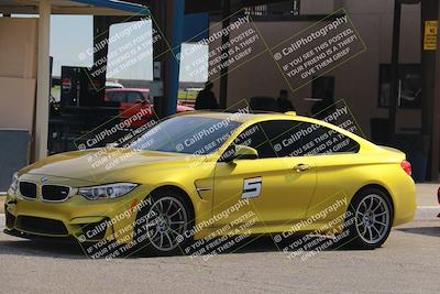 media/Jan-10-2026-Turn8 Trackdays (Sat) [[448b66da83]]/Around the Pits/